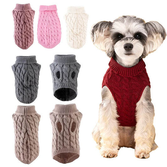 Knitted Clothes For Dogs